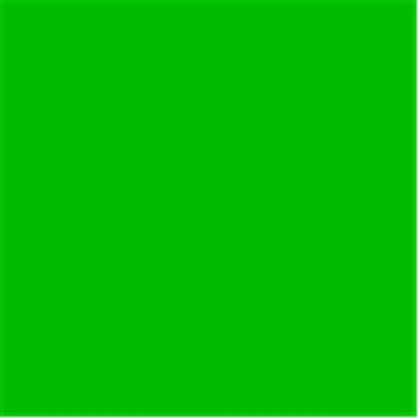 Tru-Ray Tru-Ray 100 Pecent Acid-Free Non-Toxic Construction Paper - 9 x 12 in. - Holiday Green; Pack 50 216777
